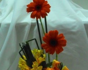 009 - Arranjo com Gerberas, junco e papiro