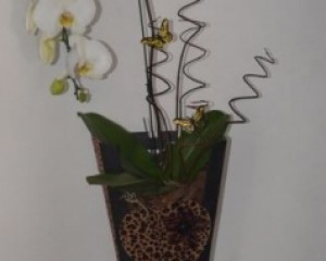 004 - Cachepo com orquídea cascata
