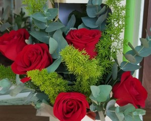 057- Cachepô com arranjo de rosas e folhas de eucalipto